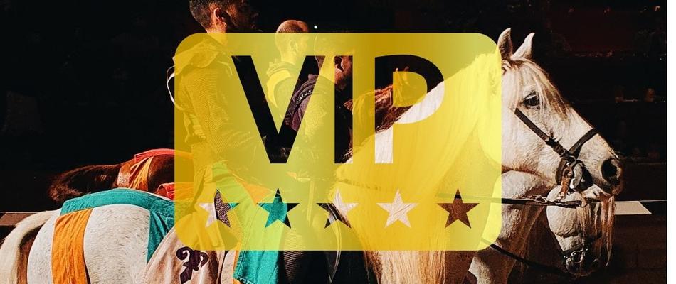 Ужин-шоу "Средневековый вызов» (VIP-Пасс) Отель Magic Cristal Park Бенидорме Ужин-шоу "Средневековый вызов» (VIP-Пасс) Отель Magic Cristal Park Бенидорме